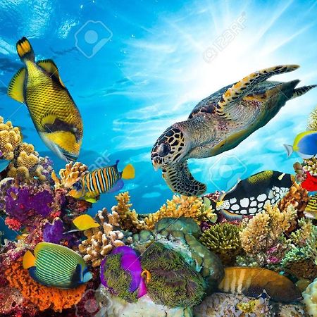 Апартаменти L'Ocean Bleu Des Anses Fond Fleury Екстер'єр фото